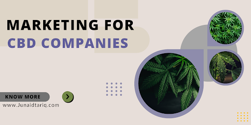 Marketing for CBD Companies